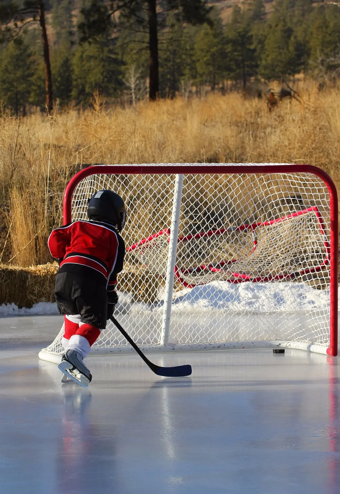 Golden Horseshoe Smart Home Security Alarm Monitoring
